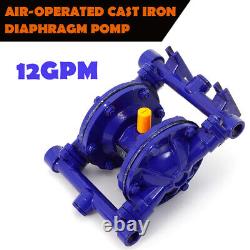 12GPM Air-Operated Double Diaphragm Pump 1/2 Inlet & Outlet Petroleum Fluids UK