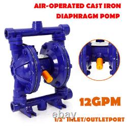 12GPM Air-Operated Double Diaphragm Pump Inlet & Outlet Petroleum Fluids 115PSI