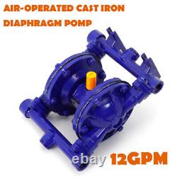 12 GPM Air-Operated Double Diaphragm Pump 1/2'' Inlet & Outlet Cast Iron USA