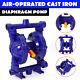 Air-Operated Double Diaphragm Pump 12GPM 1/2 Inlet & Outlet Petroleum Fluids UK