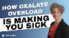 How Oxalate Overload Is Making You Sick Sally Norton Interview