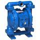 S1FB1AHWANS000 Sandpiper Air-Operated Double Diaphragm Pump